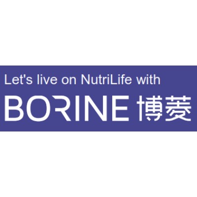 PT Borine Technology Indonesia